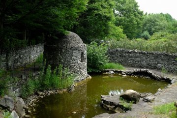 Charming Irish garden