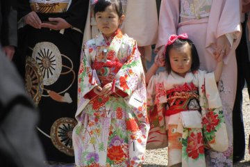 Girls in kimono. They were bored at the ceremony. :)