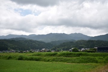 Morning of the second day