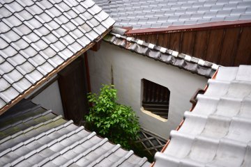 Peering into the side garden