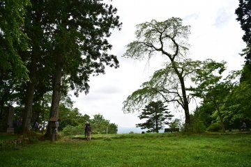 Atop Iwamura Castle