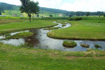 Some trails along the golf course