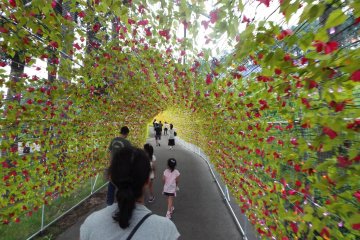 The gate of Happiness Tunnel