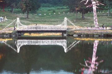 Water reflection from lights