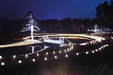 View from top of hill