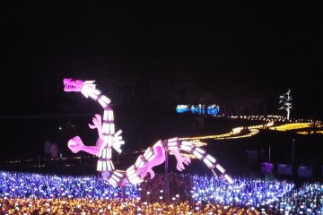 Another dragon