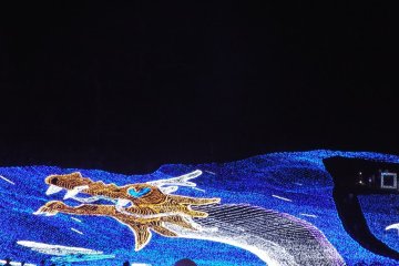 Another dragon