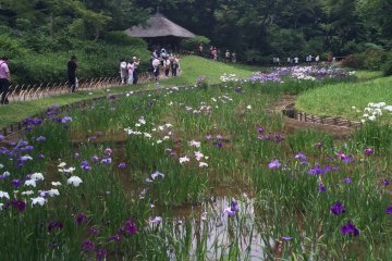 The garden is in full bloom in May.