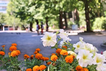 In Nihonbashi you can find small parks and tiny gardens around every corner