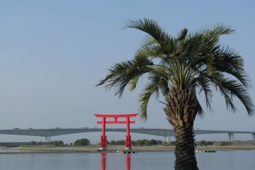Torii desu