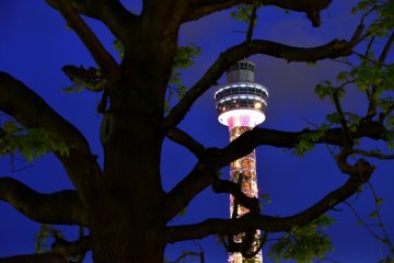 A closer view of Yokohama Marine Tower