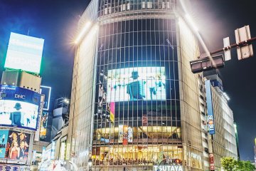 Night Photography in Tokyo