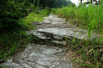 A natural path of stepping stones