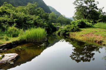 Reflections on a pond near the river