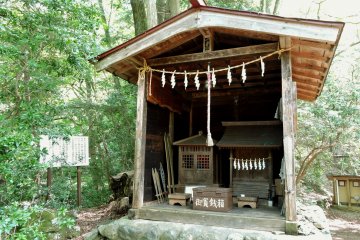 A small shrine just before the track down to the waterfall