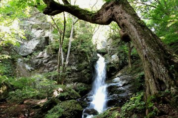 The fall tumbles down over rocks