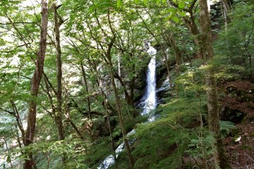 A dry summer meant it was narrower than usual
