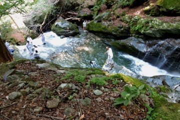 Tethered by a safety rope, a disciple made her way to the main flow of water