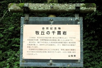 Sign explaining about the rock