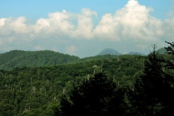 Mountain scenery along the road