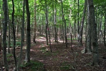 The start of the hike