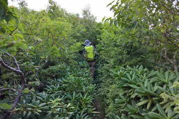 In some places the trail is really nrrow