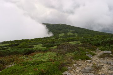 The fog rolling in