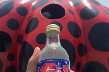 Shio Cider