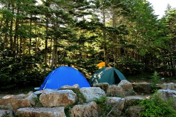 A couple of small tents
