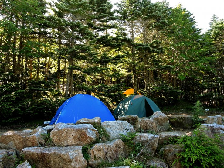 A couple of small tents