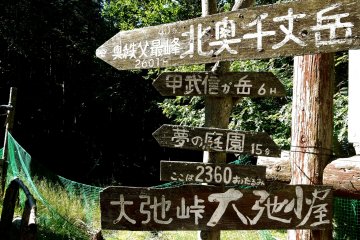 I love signposts