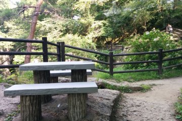 Several picnic tables dot the trail