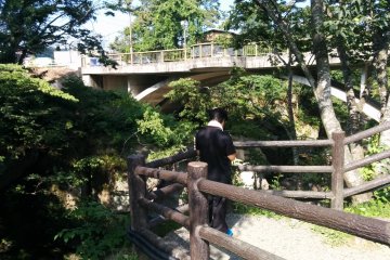 Walking the trail