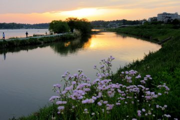 Two rivers of Mito