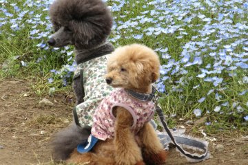 Models!