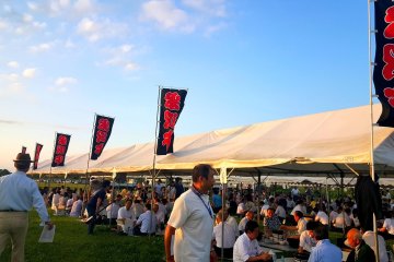 Le site du festival