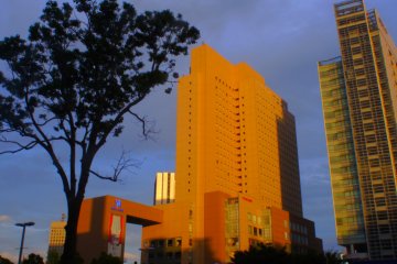 The afternoon sunlight bathes skyscrapers with its golden light