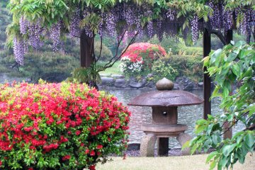 Shinjuku Gyoen Tokyo on a Rainy Day