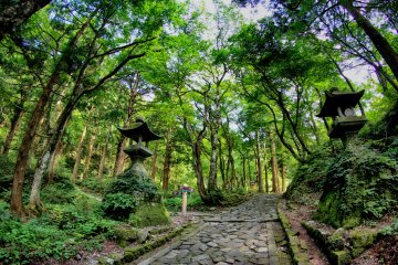 Tottori Mount Daisen Adventure