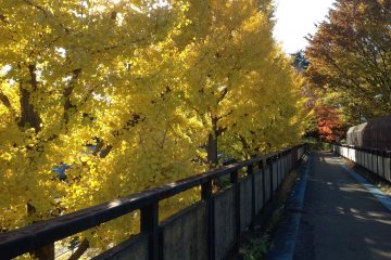 Komazawa Olympic Park in Four Seasons