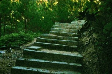 The path is steep all the way up, but well paved with steps