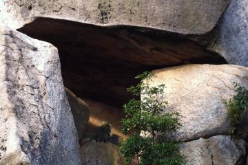 The boulders on top of Mt. Misen made Miyajima a holy island