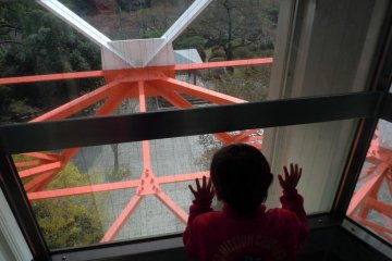 Glass elevator in Utsunomiya Tower