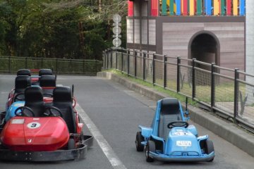Whether you are 3 or 83, you can get a thrill riding around in one of these - like a ride-on lawn mower but more fun, and you can go faster