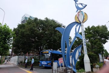The entrace