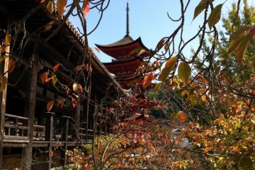 Senjo-kaku and Goju-no-to Pagoda