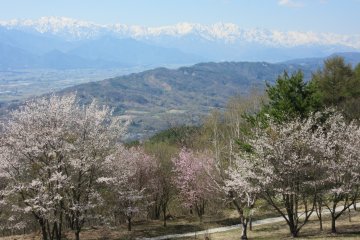 Japanese Alps from Azumino