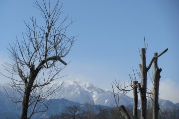 Early spring view 
