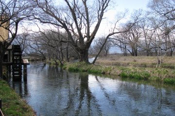 Water mill near wasabi plantation