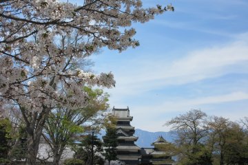 Matsumoto Castle in spring